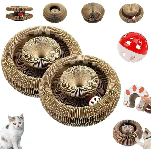 😻 Cat Scratch – La coccola che lascia il segno! 🐾
