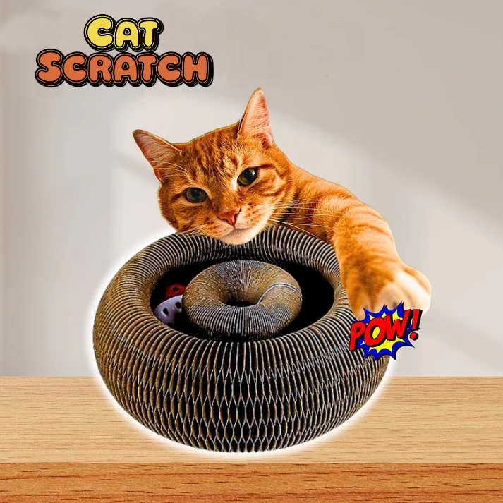 😻 Cat Scratch – La coccola che lascia il segno! 🐾