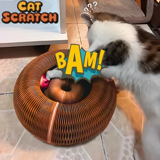 😻 Cat Scratch – La coccola che lascia il segno! 🐾