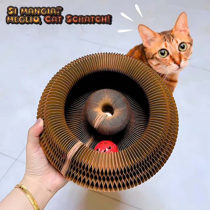😻 Cat Scratch – La coccola che lascia il segno! 🐾