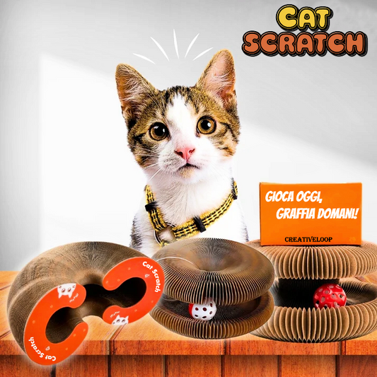😻 Cat Scratch – La coccola che lascia il segno! 🐾