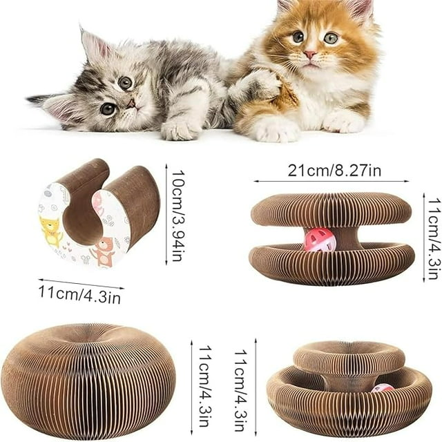 😻 Cat Scratch – La coccola che lascia il segno! 🐾