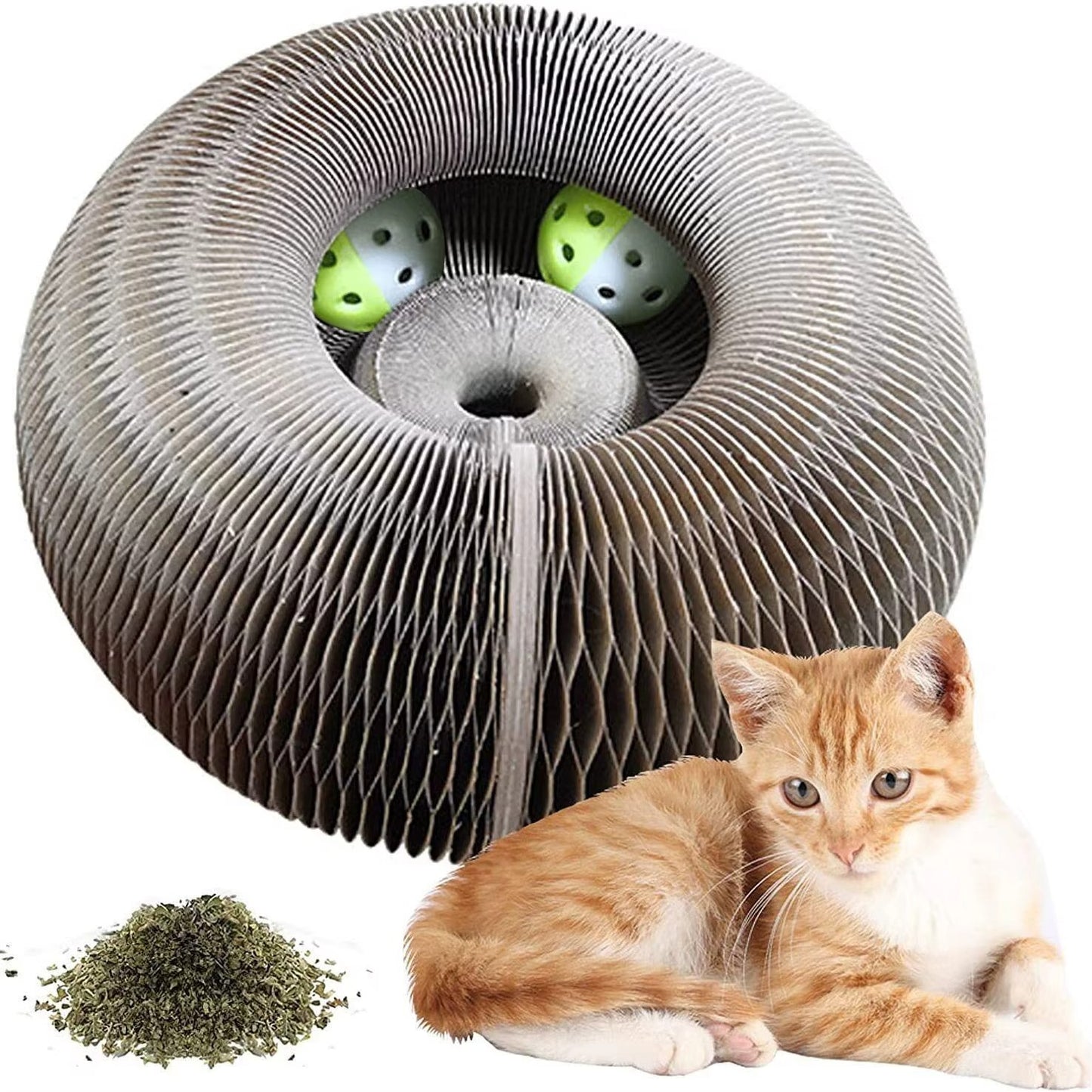 😻 Cat Scratch – La coccola che lascia il segno! 🐾